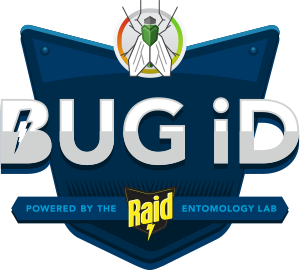 Bug-Id
